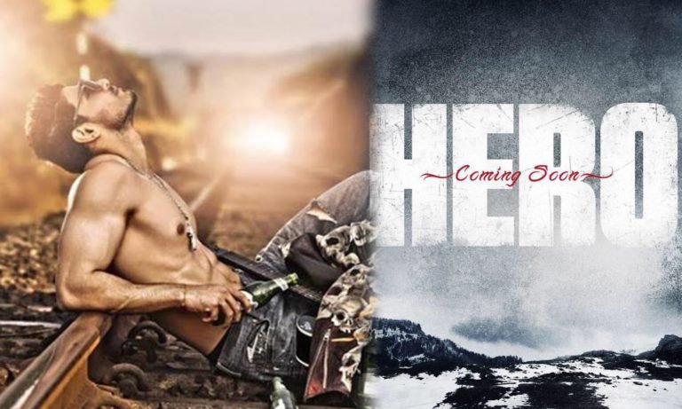 Hero : Hindi Film Detail