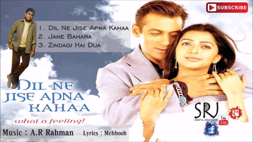 Dil Ne Jise Apna Kahaa Movie Movie 2004 Bollywood Hindi Film Detail