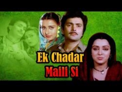 Ek chadar maili si movie