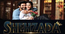 Shehzada movie