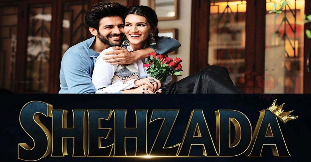 Shehzada movie