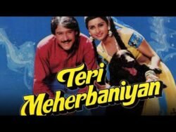 Teri Meherbaniyan movie