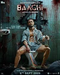 Baaghi 4 movie